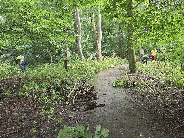 aan het werk 2